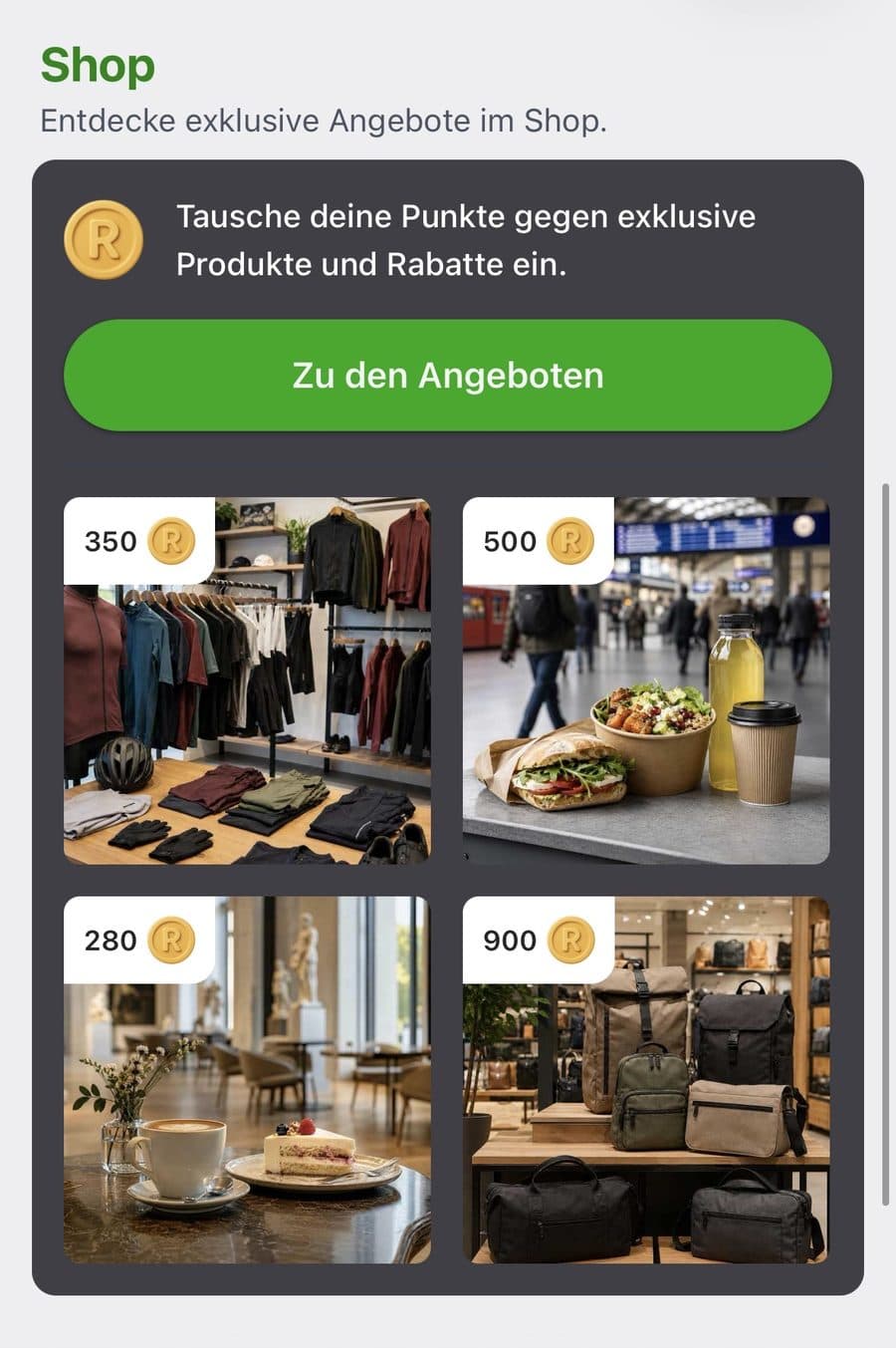 Ridewize Shop-Teaser mit Schaltfläche zu den Angeboten und vier illustrierten Demo-Angeboten mit Punktepreisen